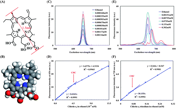 Aggregation of Chlorin e6 and its trisodium salt in ethanol. (A) Structure of Chlorin e6, maximum length ∼1.5 nm. (B) Corey-Pauling-Koltum model of Chlorin e6, geometry optimized by Accelrys' DMol3 module in Materials Studio v5.0.0.0, and intermolecular hydrogen bonds can be formed among carboxylic acid groups. (C) CW-SFS spectra of Chlorin e6 in ethanol. (D) Plot of fluorescence intensity versusChlorin e6 concentration with obvious slope change. The relative slope change is −37.4% which is much greater than the theoretical slope change −7.5% with A≥654nm < 0.06. (E) CW-SFS spectra of Chlorin e6 trisodium in ethanol, quenching caused by the inner-filtration effect occurred in high concentration samples. (F) Plot of fluorescence intensity versusChlorin e6 trisodium concentration with obvious slope change. The relative slope change is −24.3% which is greater than the theoretical slope change −9.7% with A≥728nm < 0.08. (D,F) mean of 5 runs and the error bars are less than the data symbols.