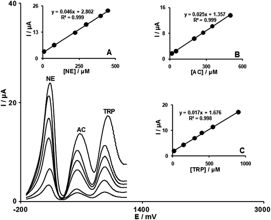 
            DPVs of FCMCNPE in 0.1 mol L−1PBS (pH 7.0) containing different concentrations of NE + AC + TRP in μmol L−1, from inner to outer: 8.0 + 15.0 + 20.0, 80.0 + 50.0 + 150.0, 225.0 + 200.0 + 300.0, 300.0 + 275.0 + 400.0, 400.0 + 350.0 + 550.0, and 450.0 + 500.0 + 900.0 respectively. Inset (A), plot of Ipvs.NE concentration. Also, (B) and (C) are plots of Ipvs. AC and TRP concentrations, respectively.