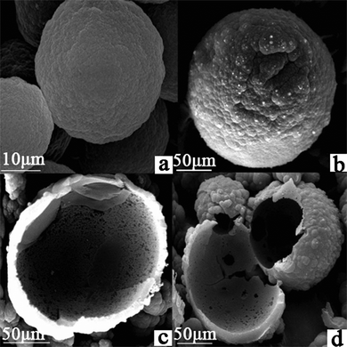 Higher magnification SEM images of TIHSMs.