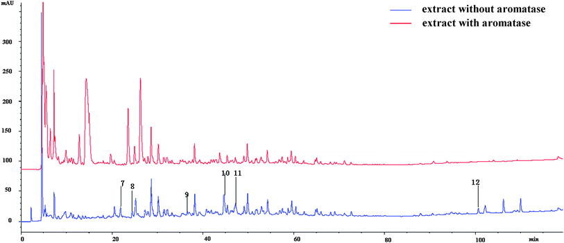 The chromatography of the compounds from B. papyrifera with or without incubation with aromatase.