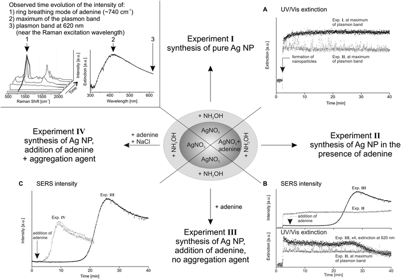 Scheme of the experimental results. Top left: example SERS spectra of adenine and UV/Vis spectrum of silver nanoparticles with marked intensities for the time evolution plots; A: time evolution of the intensity at the maximum of plasmon band of Exp. I (black) and II (grey); B: time evolution of the SERS intensity at ∼740 cm−1 and UV/Vis extinction of Exp. II (grey) and III (black); and C: time evolution of the SERS intensity of Exp. III (black) and IV (grey).