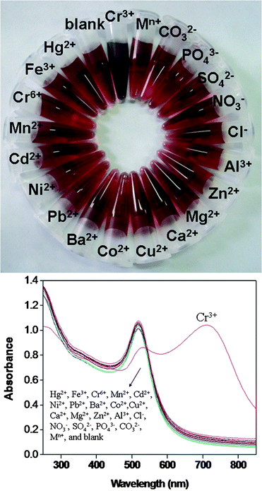 (Top) Photographic images of P3O105−–AuNPs in the presence of various types of ions. (Bottom) UV-vis spectra of P3O105−–AuNPs in the presence of different ions (50 μM). Mn+ contains all of the above interfering ions (50 μM) with the exception of Cr3+. pH = 3.25.