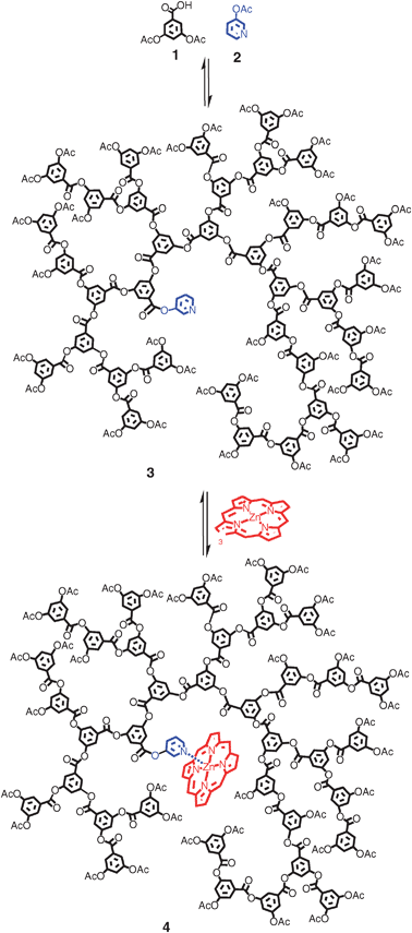Synthesis of the pyridine cored HBP 3 and its porphyrin complex 4. The final polymers are polydisperse in molecular weight, branching and structure. Representative structures are therefore shown.