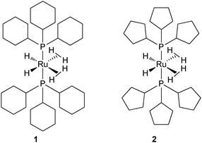 Two bis(dihydrogen) ruthenium complexes: PCy3vs. PCyp3.