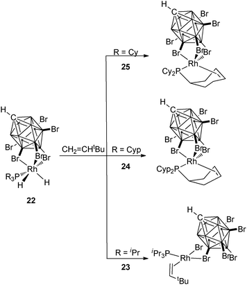 Different reactivities in carborane compounds as a function of the phosphine substituents.