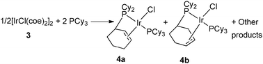 PCy2(η2-C6H9) ligands at iridium.