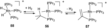 Dehydrogenation of triisopropylphosphine at rhodium.