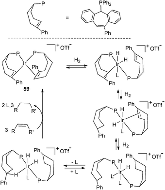 Iridium chemistry with tropylidene phosphine ligands.