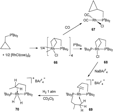 C–C activation at rhodium.