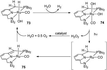 Aromatization/dearomatization steps in pincer ligands.