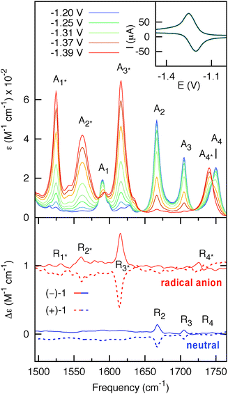 Upper panel: potential-dependent steady-state IR spectra of 35 mM (−)-1 (optical path = 200 μm). The blue and red curves represent the spectra of the initial (neutral) and final states (radical anion), respectively. Inset: thin-layer cyclic voltammogram of (−)-1 obtained using the IR OTTLE cell. Lower panel: VCD spectra of 7 mM (−)-1 (solid-line) and 7 mM (+)-1 (dashed-line) (optical path = 1.2 mm) for the neutral (blue) and radical anion (red) species. The spectra for the radical anion are vertically offset for clarity.