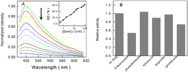(A) Normalized fluorescence emission spectra of the dsDNA probe with increasing concentrations of Dam MTase (from top to bottom). Inset: the quenching efficiency (QE) as a function of the amounts of Dam MTase. (B) Influence of different drugs on the activity of Dam MTase.