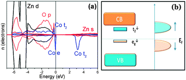 (a) The DFT calculated density of states of the Zn30Co2O32 sample in a ferromagnetic configuration. The Co states are ×2 for clarity. (b) The schematic band level diagram and the Fermi level are indicated by the horizontal line.