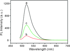 
          FL
          emission spectra of F-ssDNA (40 nM) under different conditions: (a) F-ssDNA, (b) F-ssDNA + 20 μg mL−1 GO and (c) F-ssDNA + 20 μg mL−1 GO + 1.0 μM BLM·Fe(ii).