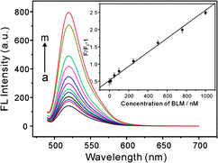 
          FL
          spectra of GO–DNA complex upon incubation with different concentrations of BLM·Fe(ii): (a) 0, (b) 0.5 nM, (c) 1.0 nM, (d) 5.0 nM, (e) 10 nM, (f) 50 nM, (g) 100 nM, (h) 250 nM, (i) 500 nM, (j) 750 nM, (k) 1000 nM, (l) 5000 nM and (m) 10 000 nM. (inset) FL intensity ratio of the GO–DNA complex with {(F/F0 − 1)} plotted against the concentration of BLM·Fe(ii).