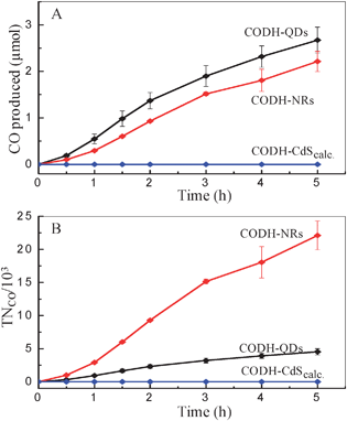 (A) Production of CO and (B) turnover number, versus time at different CODH-CdS assemblies. (0.35 M MES, pH 6.0, 20 °C).