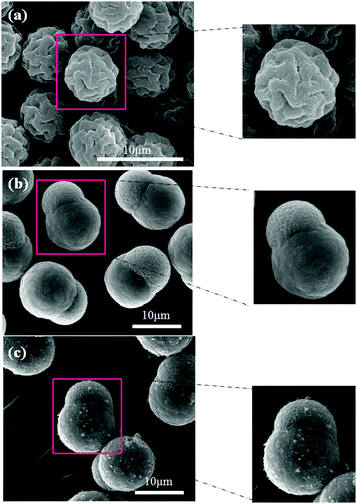 
          SEM images of PMMA seeds (a), pure SL particles (b) and c-MWNT (0.96 wt%) adsorbed SL particles (c).