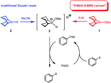 Suzuki reactions of extended scope: the '9-MeO-9-BBN variant' as a  complementary format for cross-coupling - Chemical Communications (RSC  Publishing) DOI:10.1039/C2CC17070A