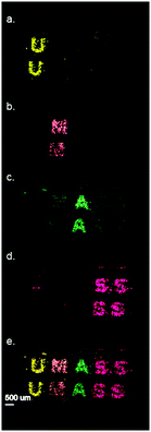 Ligand LDI-IMS signals for the various ligands tinted different colors for viewing. (a) NP 1 (b) NP 3 (c) NP 2 and (d) NP 4 (e) all 4 signals combined showing the completed pattern.