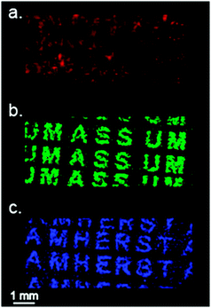 Overlapped two channel printing. MSI of overlapped printing gold NPs, detected ions: blue letters AMHERST (NP 4m/z = 548), green letters UMASS (NP 1m/z = 422), red pattern (Au+, m/z = 197).