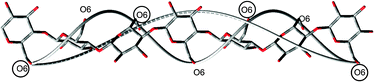 Schematic drawing of a cellulose helix that is left-handed, with exactly three anhydroglucopyronose (AHG) residues per turn of the helix. Two turns are shown, so that the first, fourth and seventh AHG residue all have the same orientation. Each O6 is labeled, and every other O6 has a circle around it to represent a porphyrin substituent. Also shown are two “helical threads” that connect the O6 atoms.5 (A similar thread could connect any particular type of atom, as long as the molecule is a helix.) One of the threads connects all of the O6 atoms, and it is left-handed. The other helix only connects the circled O6 atoms, and it is right-handed. Since the CD measurements detect only the chromophoric porphyrin rings at every second AHG unit, a right-handed helix is reported, even though the helical thread through all of the O6 (in every AHG unit) is left-handed.