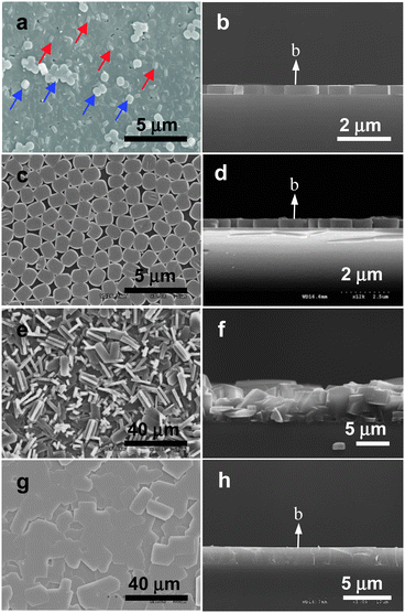 SEM images of a typical primarily grown silicalite-1 film, top (a) and cross sectional (b) views; a monolayer of silicalite-1 crystals assembled on a glass plate, top (c) and cross sectional (d) views; a randomly oriented continuous silicalite-1 film grown from the monolayer by reacting in a gel which uses TPAOH as SDA, top (e) and cross sectional (f) views; a perfect b-oriented continuous silicalite-1 film grown from the monolayer by reacting in a gel which uses TEAOH as SDA, top (g) and cross sectional (h) views. (Adopted from ref. 47 and 50.)