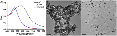 (A) The absorbance spectra of A2S1-AuNPs in the presence of Ca2+ (20 μM) followed by EDTA addition (20 μM). (B) TEM image of A2S1-AuNPs (3 nM) after the addition of Ca2+ (20 μM). (C) TEM image of re-dispersion of Ca2+-A2S1-AuNPs in the presence of EDTA (20 μM). Scale bar represents 100 nm.