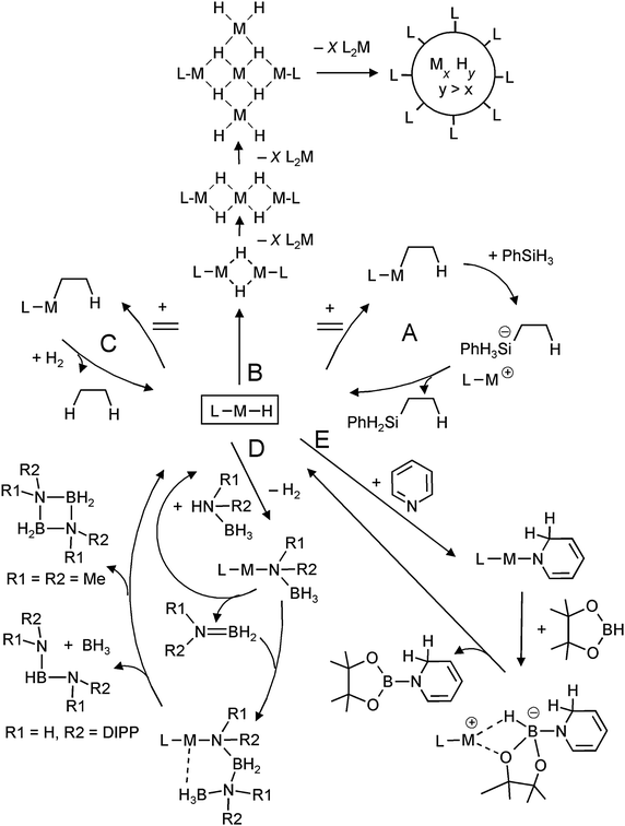 Metal hydride based intermediates in catalysis.