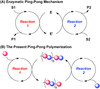 Ping-pong polymerization by allylation and hydroformylation for alternating  vinyl alcohol– vinyl monomer copolymers - Chemical Communications (RSC  Publishing) DOI:10.1039/C2CC34980A
