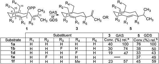 Incubations of modified FDP (1b, d–f) under optimized conditions: a GAS (6 μM), Mg2+ (5 mM) and FDP (0.35 mM); b GDS (12 μM), Mg2+ (10 mM) and FDP (0.35 mM). Conversions were determined by GC-FID (ESI) in pentane. Relative conversions (rel.) denote percentage with respect to 1a.