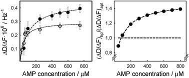 Left (A): dissipation changes normalized by the corresponding frequency change as a function of the respective AMP concentrations, and the resulting ligand binding curve (dashed line) for the hairpin structure (solid circles) and the aptamer (open circles). Right (B): comparison of the normalized dissipation changes using as reference those of the aptamer (horizontal line) indicating significantly larger conformational rearrangement of the hairpin structure (solid circles).