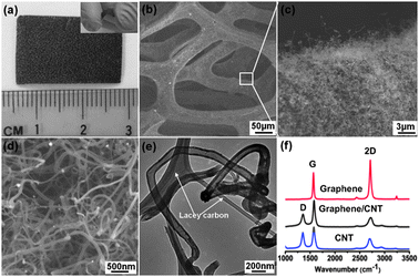 (a) Optical image of graphene–CNT hybrid foam. Inset shows the bent hybrid. (b, c, d) SEM images of graphene–CNT hybrid foam with different magnifications. (e) TEM image of individual CNT. (f) Typical Raman spectra of bare graphene foam, graphene–CNT hybrid foam and pure CNTs.