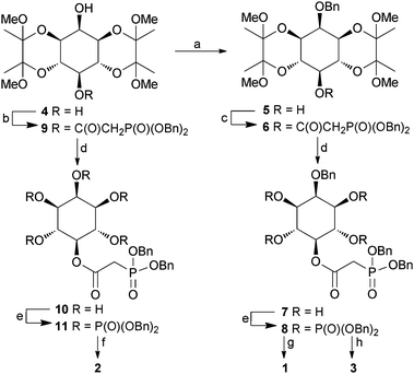 Synthesis of PA analogues 1, 2 and 3. Reagents and conditions: a. BnBr, NaH, DMF, 55%; b. (BnO)2P(O)CH2COOH, DCC, CH2Cl2, 73%; c. (BnO)2P(O)CH2COOH, EDAC, DMAP, CH2Cl2, 95%; d. TFA, H2O, 5 min, 50–62%; e. (i) (BnO)2PNPr2i, 5-phenyl-1H-tetrazole, CH2Cl2; (ii) mCPBA, CH2Cl2, 84–95%; f. H2, Pd(OH)2/C, MeOH, H2O, 92%; g. H2, Pd(OH)2/C, MeOH, H2O, 50 psi, 79%; h. H2, Pd(OH)2/C, MeOH, aqueous triethylammonium bicarbonate, 79%. Bn = benzyl.