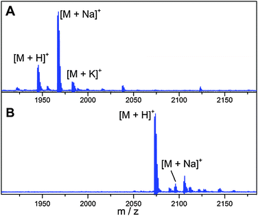 MALDI-MS spectra of GarA modified by GarM in E. coli and treated with trypsin and aminopeptidase A8200 to remove the leader peptide. (A) Spectrum of Ala(0)-deoxyactagardine, [M + H]+ calculated m/z: 1945.34, observed m/z: 1945.68; (B) spectrum of Ala(0)-DAB-Lys, [M + H]+ calc. m/z: 2073.51, obsv. m/z: 2074.01.