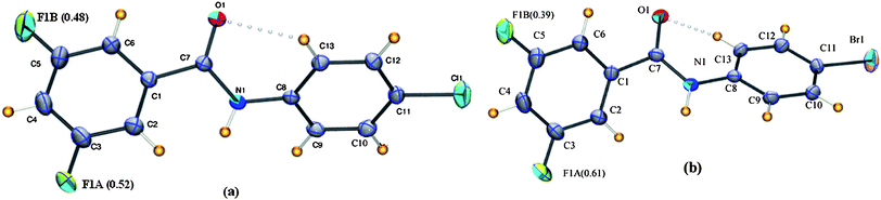 
          ORTEP diagram of (a) 3FB–4ClA and (b) 3FB–4BrA with the occupancies for the disordered fluorine. Intra-molecular interactions are joined by open circles. The disordered hydrogen and carbon atoms have been omitted for clarity.