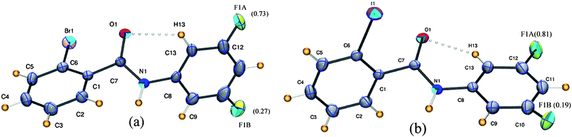 
          ORTEP diagram of 3FA–2BrB (a) and 3FA–2IB (b) with the occupancies for the disordered fluorine. Intra-molecular interactions are joined by open circles. The disordered hydrogen and carbon atoms have been omitted for clarity.