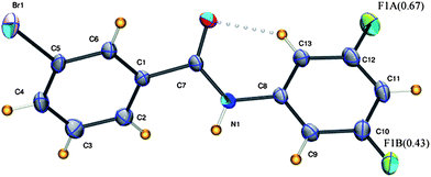 
          ORTEP diagram of 3FA–3BrB with the occupancies for the disordered fluorine. Intra-molecular interaction is joined by open circles. The disordered hydrogen and carbon atoms have been omitted for clarity.