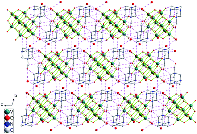 View down the a axis of the 3-D supramolecular network of 1, showing the multiple hydrogen bonding interactions (broken lines), all H atoms are omitted for clarity.