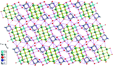 View down the b axis of the 3-D supramolecular network of 4, showing the multiple hydrogen bonding interactions (broken lines), all H atoms are omitted for clarity.