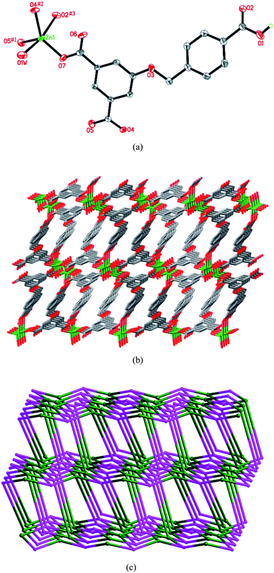 (a) ORTEP diagram showing the coordination environment of the Zn(ii) atom in 1. Symmetry codes: #1 −x + 2, −y, −z + 2; #2x, −y − 1/2, z − 1/2; #3 −x + 1, y + 3/2, −z + 3/2. (b) View of the 3D structure. (c) Schematic diagram (OLEX) showing the 3D (42·7·83)2 net of 1.