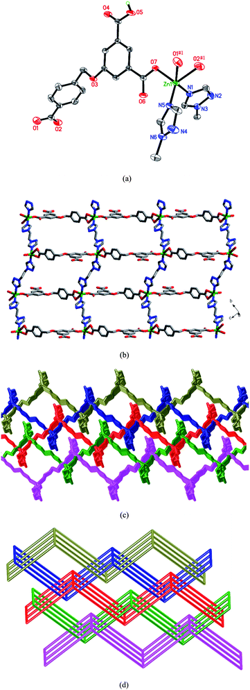 (a) Coordination environment of the Zn(ii) atom in 7. Symmetry codes: #1x, y + 1, z + 1. (b) View of the 2D undulated layer. (c) The 2D → 3D parallel interpenetration of the layers in 3. (d) Schematic representation of the 2D → 3D polycatenation of different (4,4) motifs.