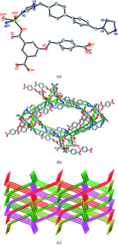 (a) Coordination environment of the Zn(ii) atom in 6. Symmetry codes: #1 −x + 3/2, y + 1/2, −z + 1; #2x + 1/2, −y + 1/2, −z − 1. (b) View of a single diamond structure of 6. (c) View of the four-fold interpenetrating diamond diagram (OLEX) of 6.