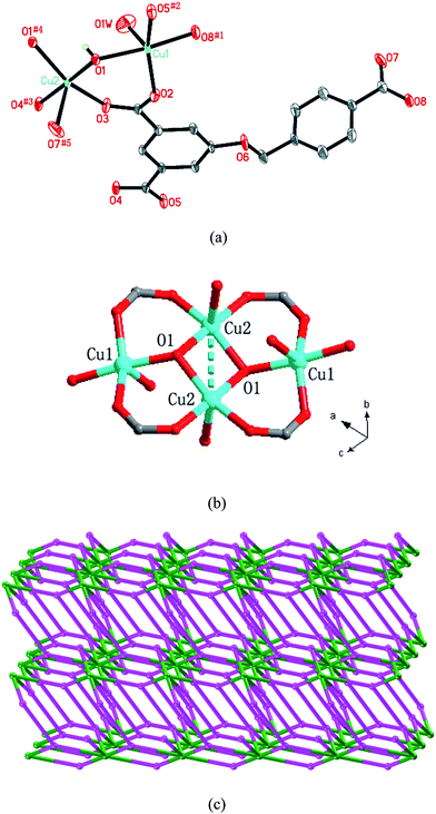 (a) Coordination environments of the Cu(ii) atoms in 7. Symmetry codes: #1 −x + 4, −y + 1, −z + 3; #2x, y − 1, z; #3 −x + 2, −y + 2, −z + 2; #4 −x + 2, −y + 1, −z + 2; #5x − 1, y, z − 1. (b) View of the [Cu4O10] unit. (c) View of the 3D (3,8)-connected framework with (4·62)(44·68·812·104) topology.