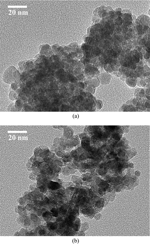 
          TEM images of (a) pure ZnO and (b) 40% Cd-doped ZnO nanoparticles.