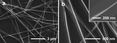
            SEM images of Te tri-wing nanoribbons. (a) A general overview of the product and (b) a high magnification SEM image showing clearly the tri-wing structure.