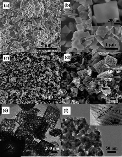 
          FE-SEM and TEM images of the as-prepared precursor with less than 3 mL of water in the starting solution and the corresponding calcined sample at 450 °C. SEM images of (a),(b) the precursor and (c),(d) the calcined sample. The inset of (b) and (d) is the high-magnification SEM image. (e),(f) TEM images of the calcined sample. The inset of (e) is the SAED pattern and the inset of (f) is the high-resolution TEM image.