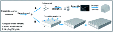 Schematic illustration of the proposed formation mechanism for the variation of ZnO morphology assisted by PSS with different water content in the starting solution.