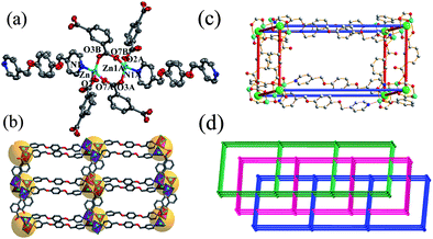 (a) Coordination environment of Znii ions in 3 with the ellipsoids drawn at the 30% probability level, hydrogen atoms were omitted for clarity (symmetry transformations used to generate equivalent atoms: A, −1 − x, 1 − y, −z; B, x, −y, −0.5 + z). (b) View of one independent primitive cubic net. (c) A single distorted cube-like unit of the α-Po net with the relative dimensions (10.34 × 10.34 × 21.48 Å) of α-Po topology. (d) A schematic illustration of the 3-fold interpenetrated structure.