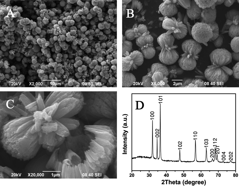 Morphological and structural characterizations of the as-prepared ZnO products: low (A) and high (B–C) magnification of the SEM images; and the powder XRD pattern of the hollow peanut-like ZnO product (D).