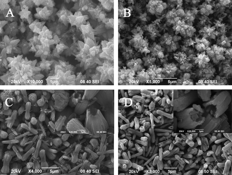 
            SEM images of the products prepared with different amounts of ammonia: 0.5 mL (A); 1.0 mL (B); 2.0 mL (C); 2.5 mL (D). Inset: high magnification of the images (C) and (D).